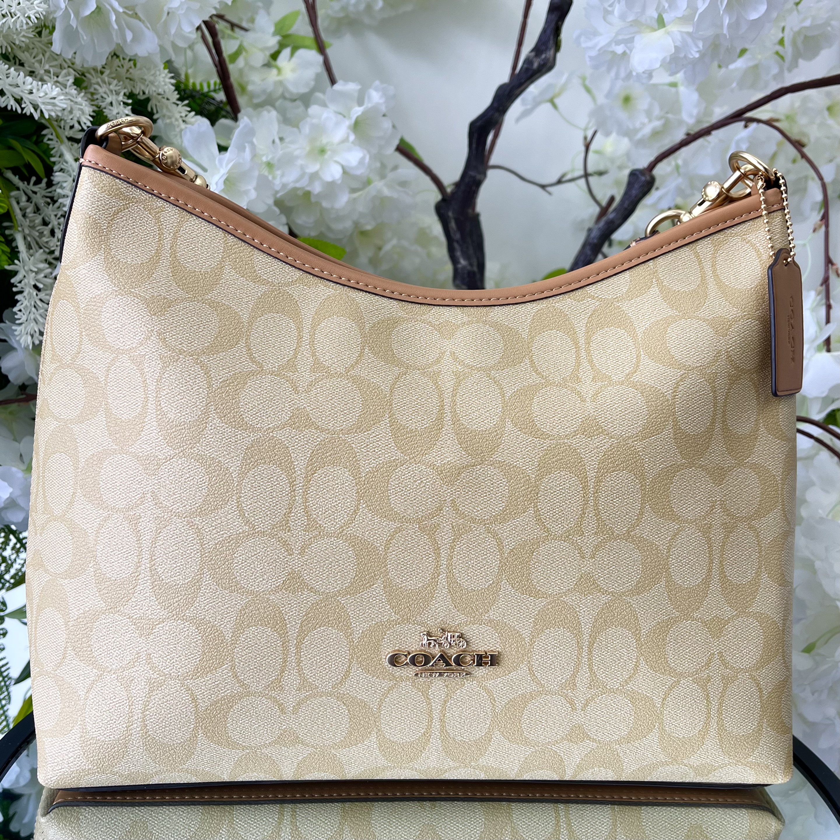 COACH-81
